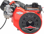 Briggs Racing Engines
