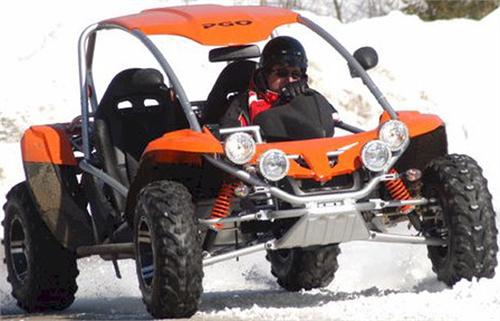 PGO BugRacer 500i