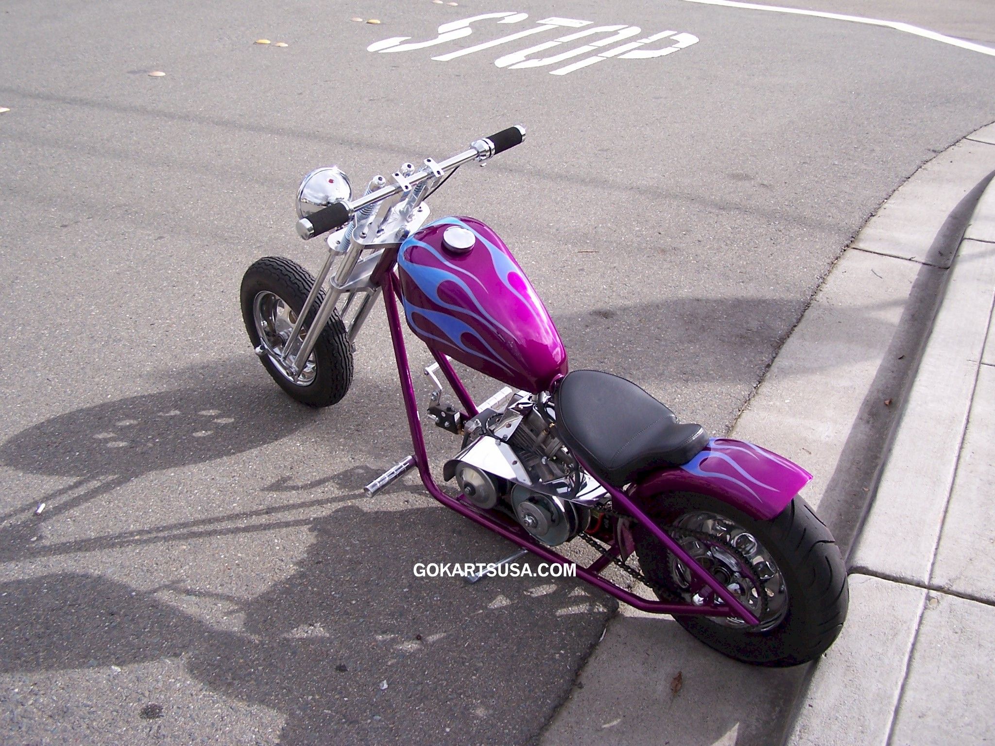 Berdoo ES Mini Chopper